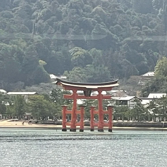 $5 for live share show
Picture taken in Japan - Picture 5 of 7